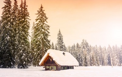 8520215-1000-1460112778-shutterstock_320560433